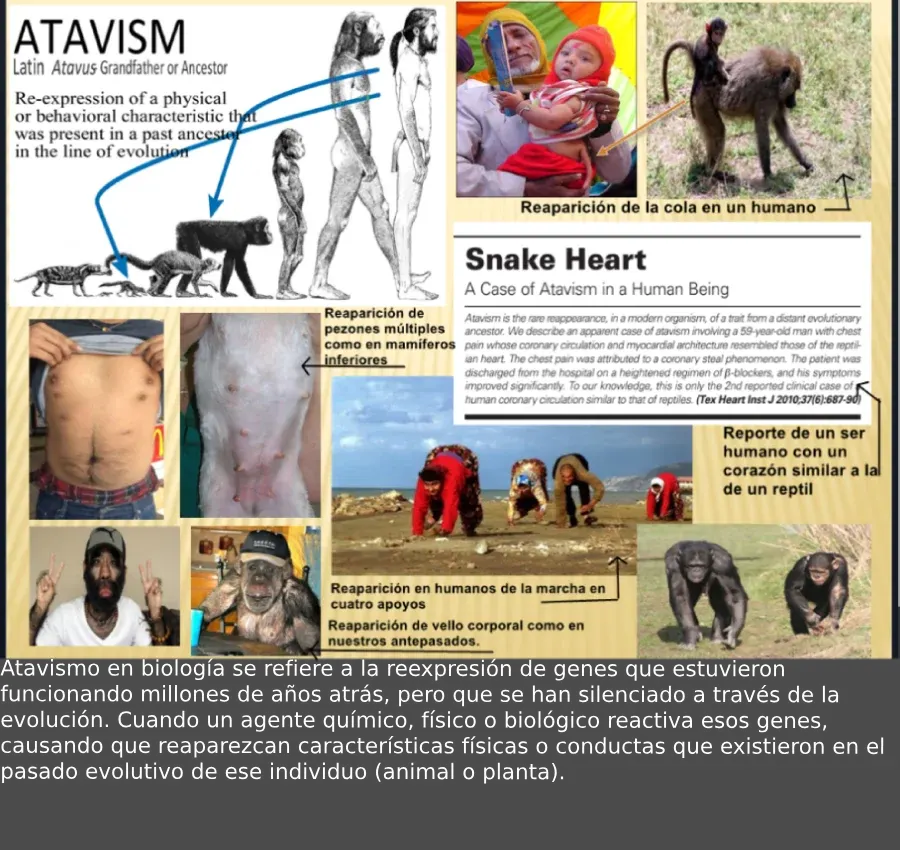 Atavismo en biología